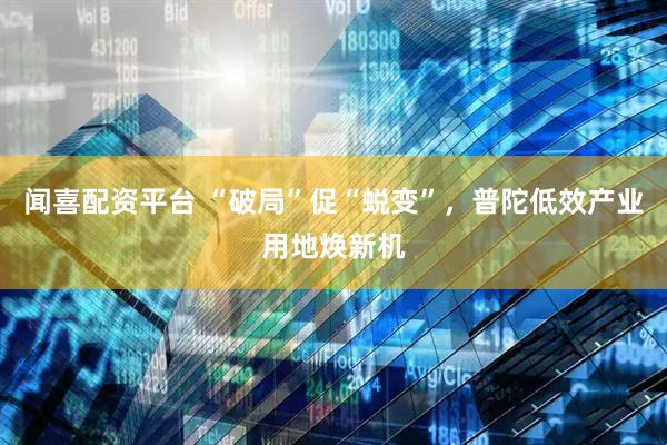 闻喜配资平台 “破局”促“蜕变”，普陀低效产业用地焕新机