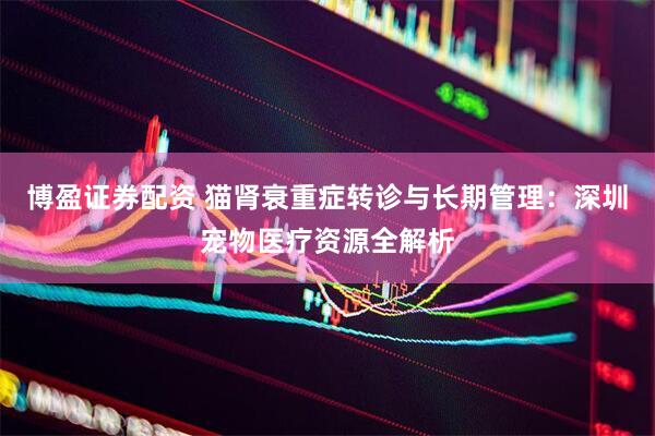 博盈证券配资 猫肾衰重症转诊与长期管理：深圳宠物医疗资源全解析